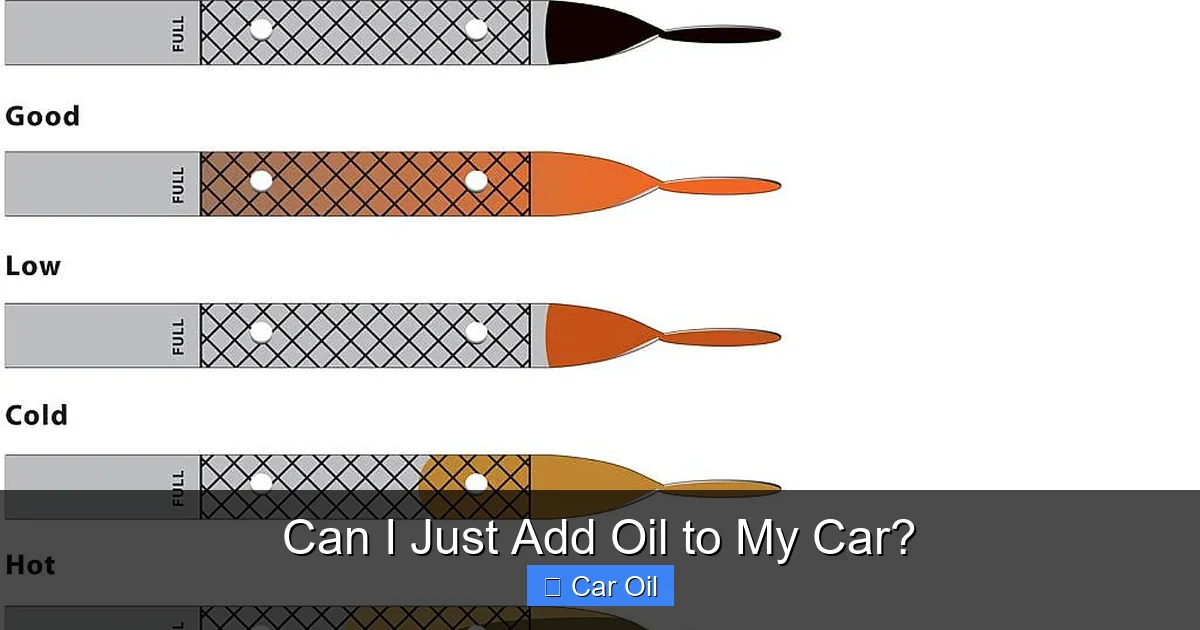 Can I Just Add Oil to My Car?