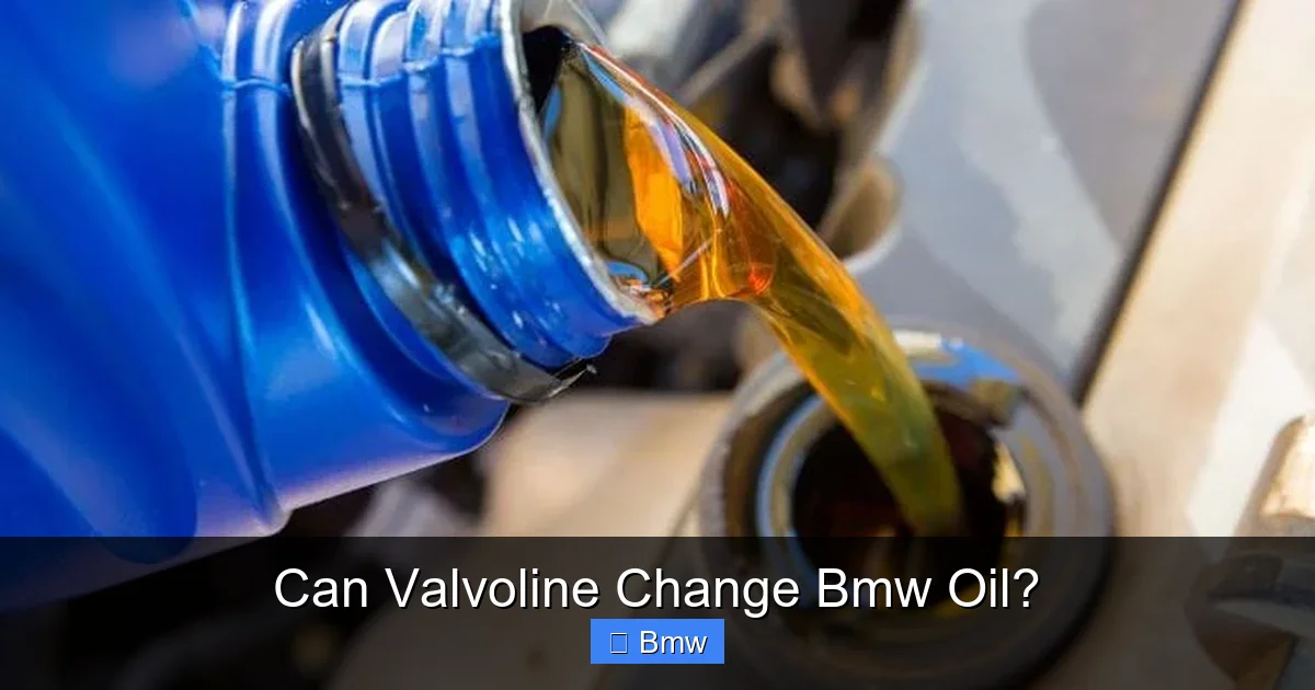 Can Valvoline Change Bmw Oil?