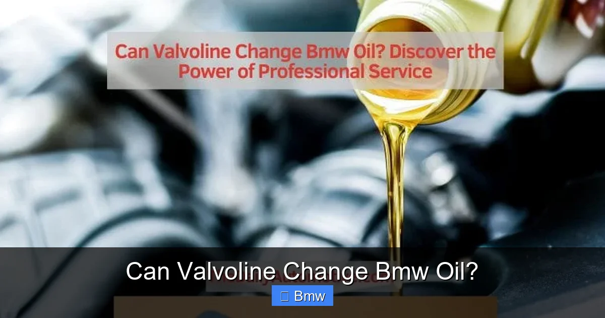 Can Valvoline Change Bmw Oil?