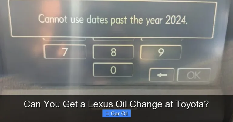 Can You Get a Lexus Oil Change at Toyota?
