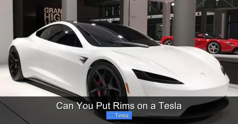 Can You Put Rims on a Tesla