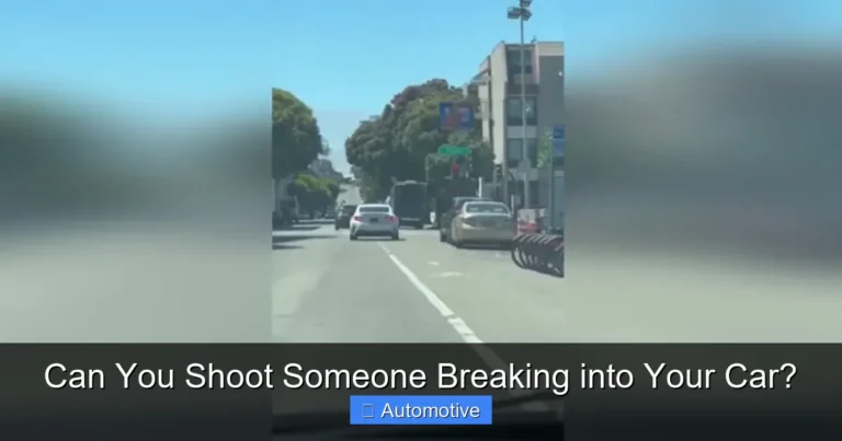 Can You Shoot Someone Breaking into Your Car?