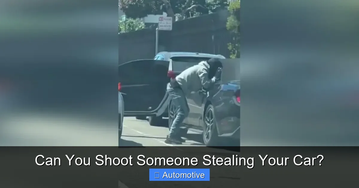 Can You Shoot Someone Stealing Your Car?