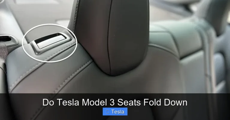 Do Tesla Model 3 Seats Fold Down