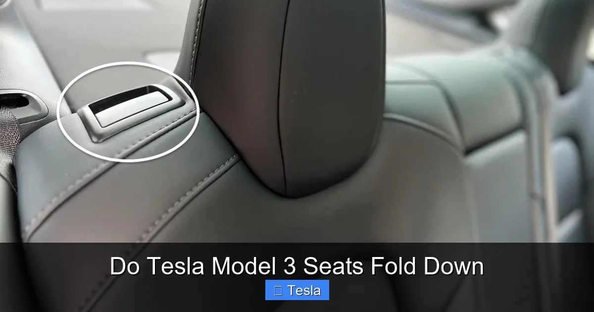 Do Tesla Model 3 Seats Fold Down