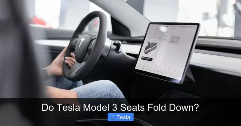 Do Tesla Model 3 Seats Fold Down?