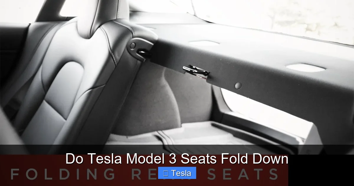 Do Tesla Model 3 Seats Fold Down