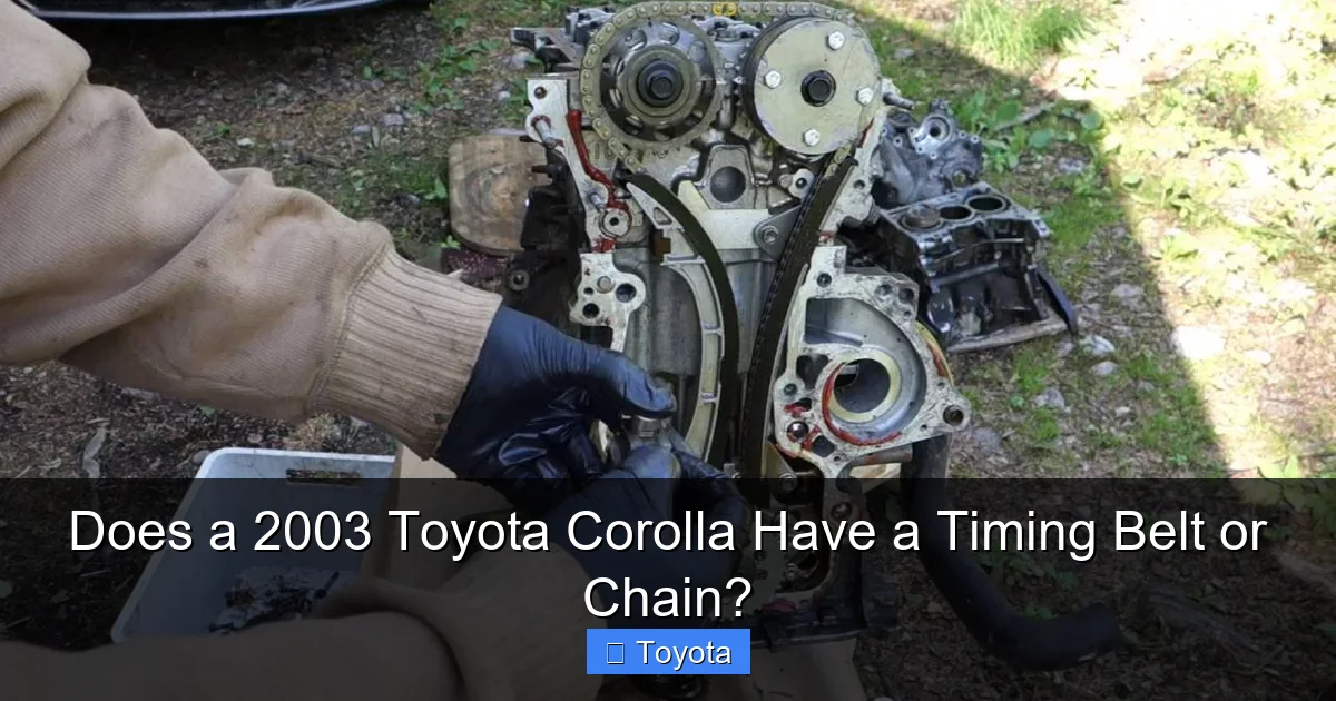 Does a 2003 Toyota Corolla Have a Timing Belt or Chain?
