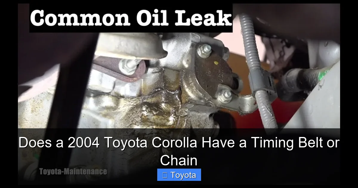 Does a 2004 Toyota Corolla Have a Timing Belt or Chain