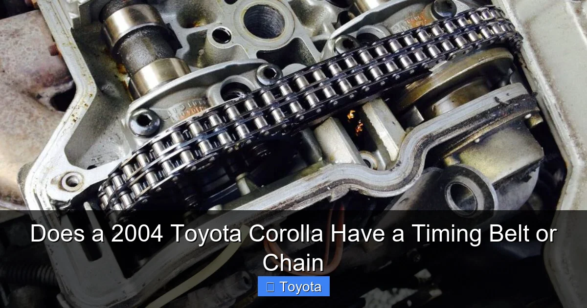 Does a 2004 Toyota Corolla Have a Timing Belt or Chain