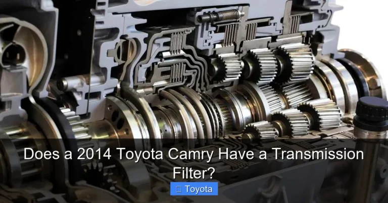 Does a 2014 Toyota Camry Have a Transmission Filter?