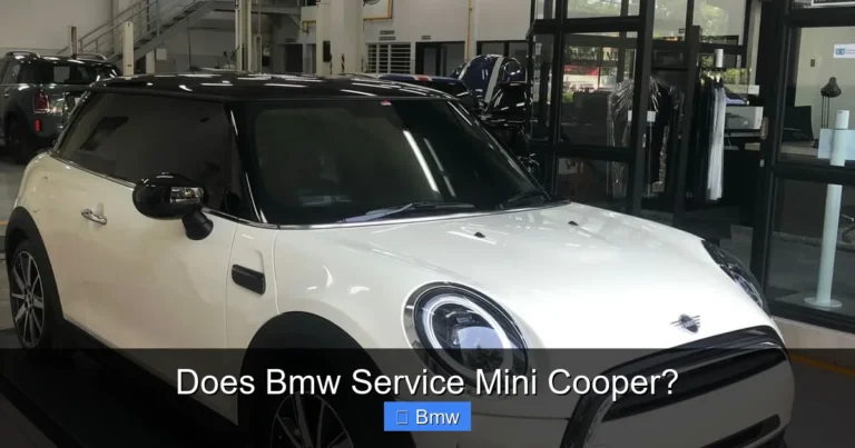 Does Bmw Service Mini Cooper?