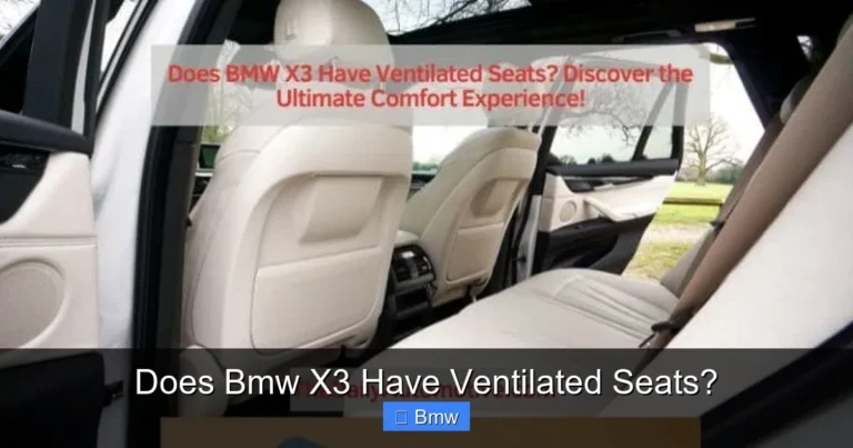Does Bmw X3 Have Ventilated Seats?
