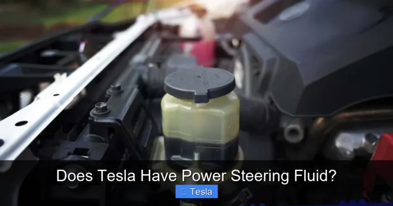 Does Tesla Have Power Steering Fluid?
