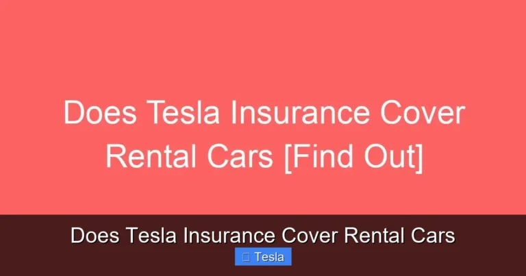 Does Tesla Insurance Cover Rental Cars