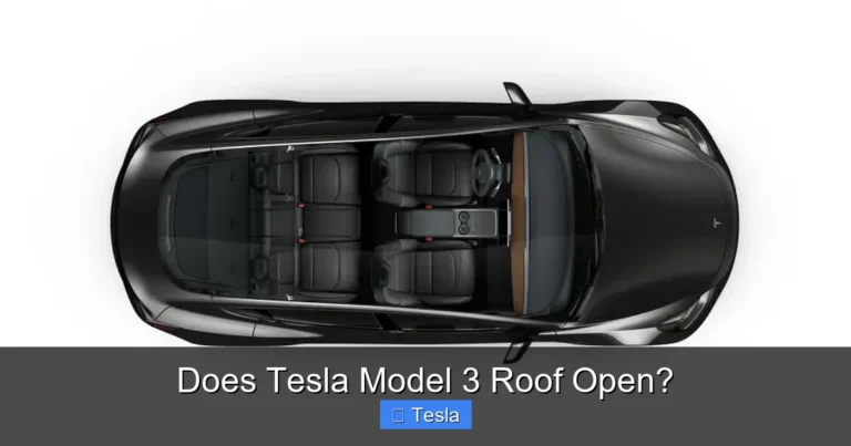 Does Tesla Model 3 Roof Open?