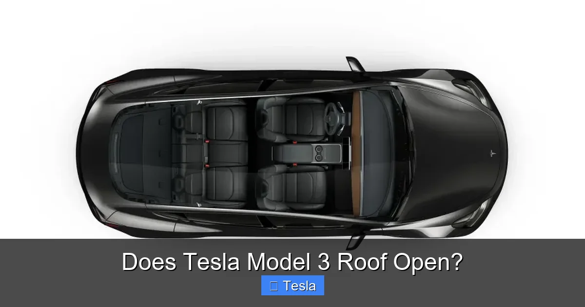 Does Tesla Model 3 Roof Open?