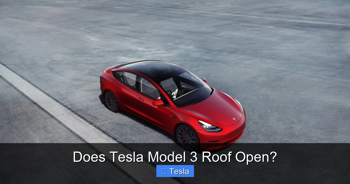 Does Tesla Model 3 Roof Open?