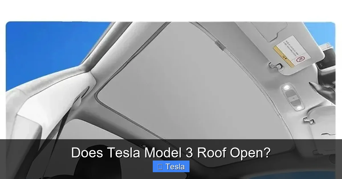 Does Tesla Model 3 Roof Open?