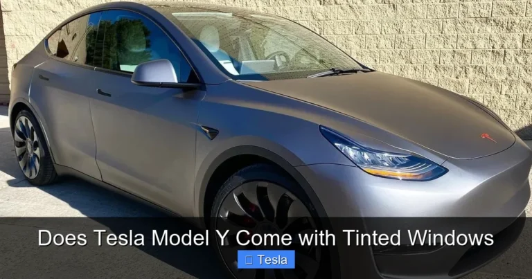 Does Tesla Model Y Come with Tinted Windows