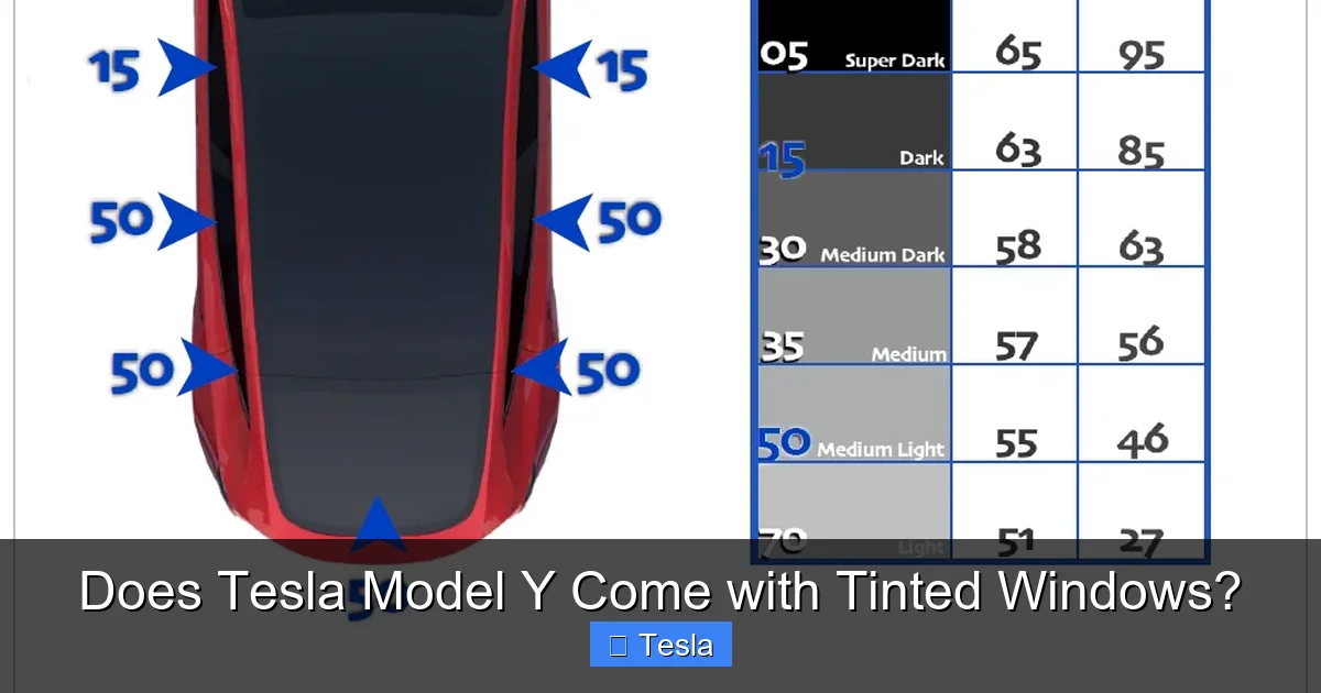 Does Tesla Model Y Come with Tinted Windows?