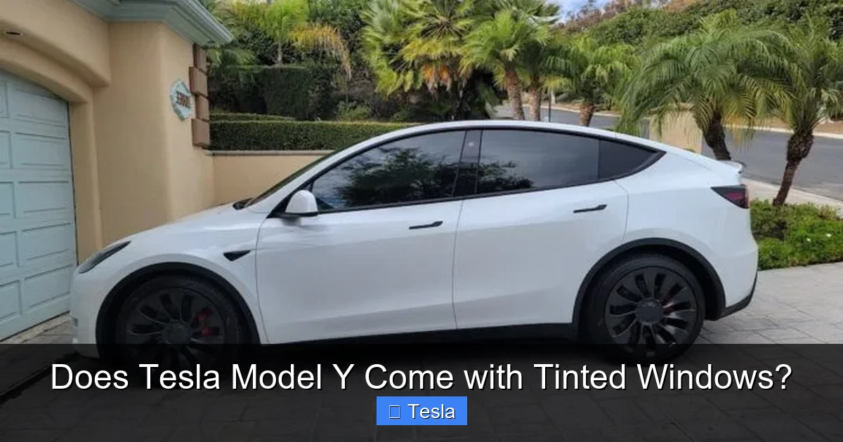 Does Tesla Model Y Come with Tinted Windows?