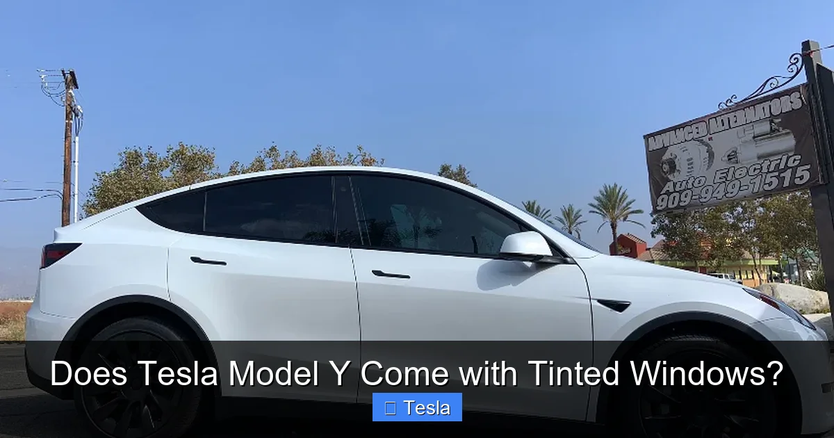 Does Tesla Model Y Come with Tinted Windows?