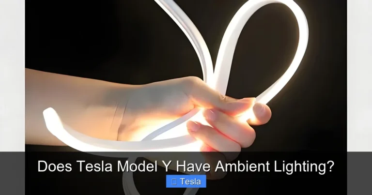 Does Tesla Model Y Have Ambient Lighting?