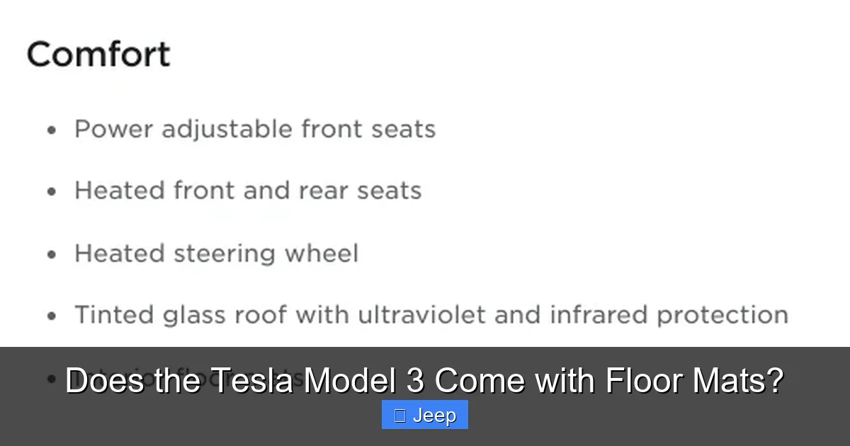 Does the Tesla Model 3 Come with Floor Mats?