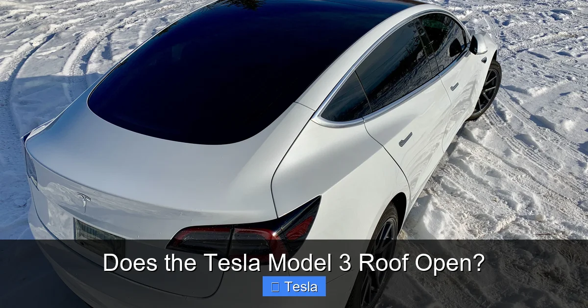 Does the Tesla Model 3 Roof Open?