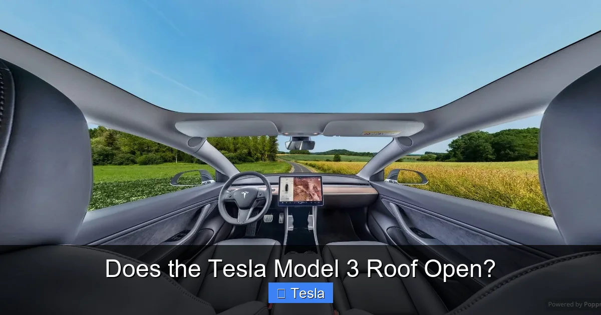 Does the Tesla Model 3 Roof Open?