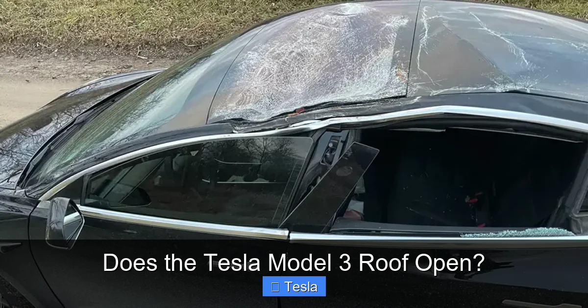 Does the Tesla Model 3 Roof Open?