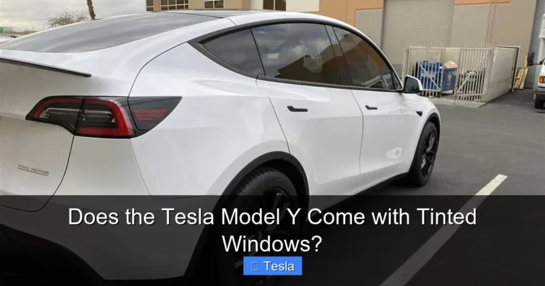 Does the Tesla Model Y Come with Tinted Windows?