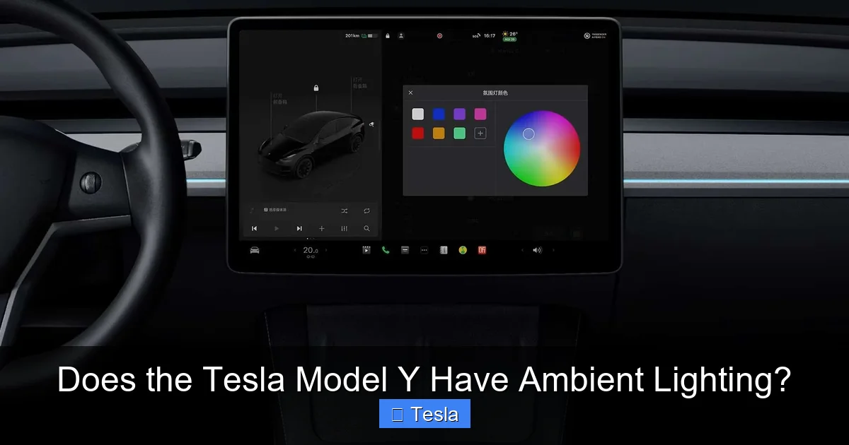 Does the Tesla Model Y Have Ambient Lighting?