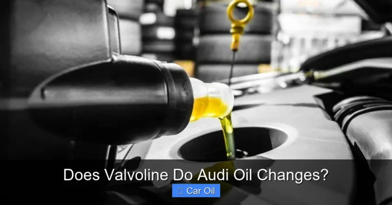 Does Valvoline Do Audi Oil Changes?