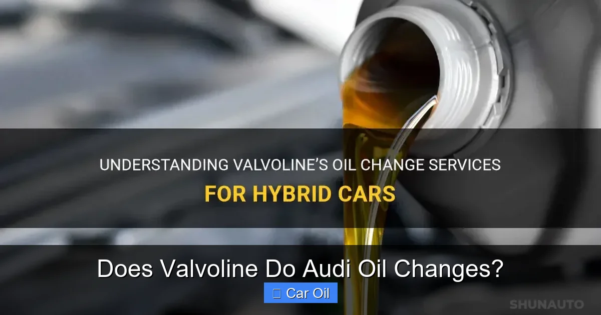Does Valvoline Do Audi Oil Changes?