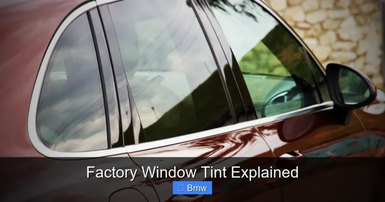 Factory Window Tint Explained