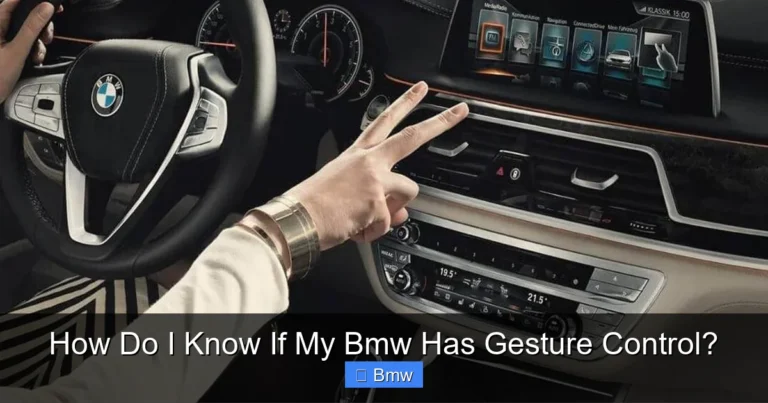 How Do I Know If My Bmw Has Gesture Control?
