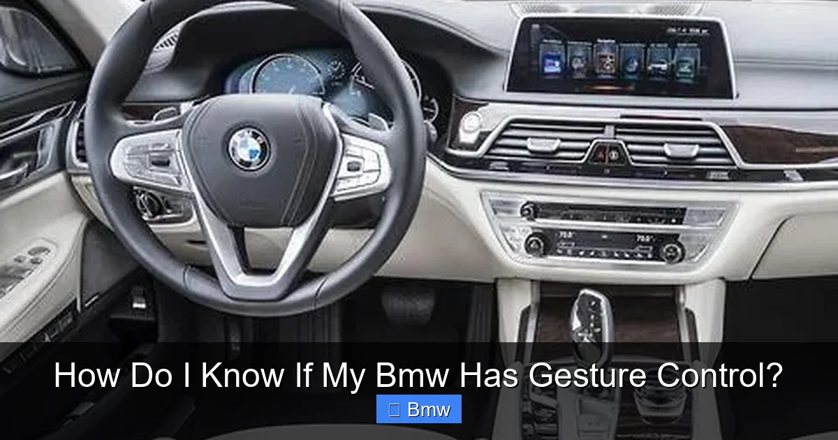 How Do I Know If My Bmw Has Gesture Control?