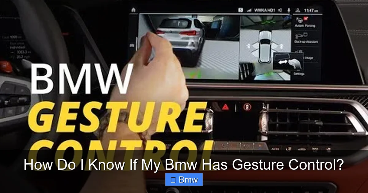 How Do I Know If My Bmw Has Gesture Control?