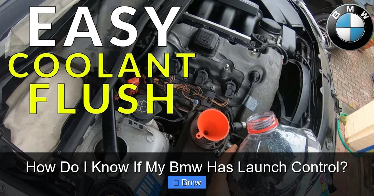 How Do I Know If My Bmw Has Launch Control?