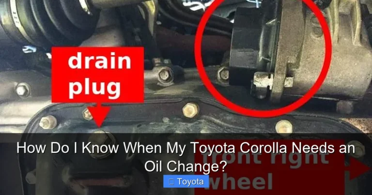 How Do I Know When My Toyota Corolla Needs an Oil Change?