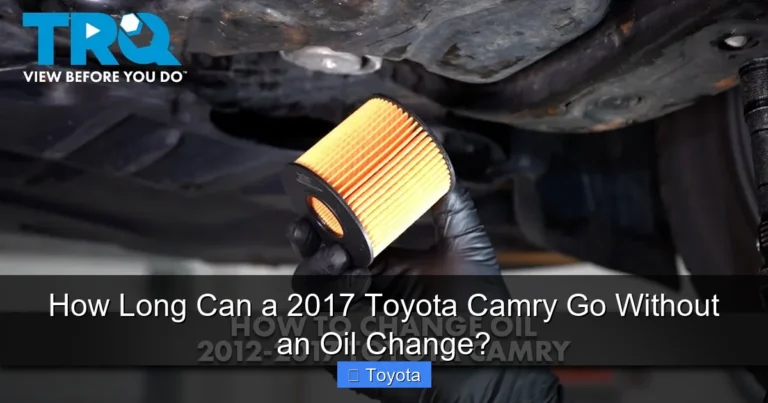 How Long Can a 2017 Toyota Camry Go Without an Oil Change?