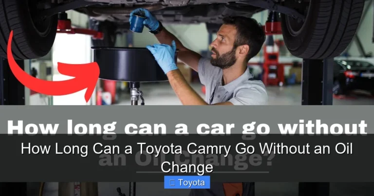 How Long Can a Toyota Camry Go Without an Oil Change
