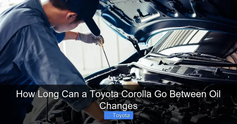 How Long Can a Toyota Corolla Go Between Oil Changes