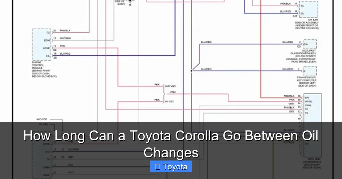 How Long Can a Toyota Corolla Go Between Oil Changes