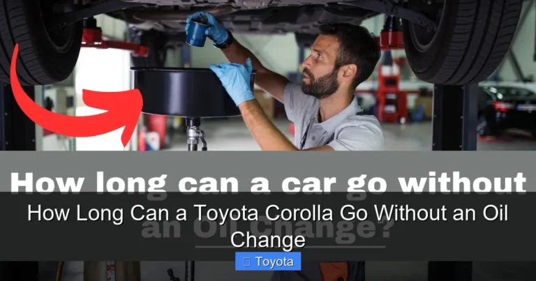 How Long Can a Toyota Corolla Go Without an Oil Change