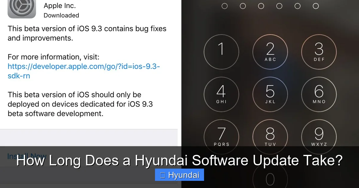 How Long Does a Hyundai Software Update Take?