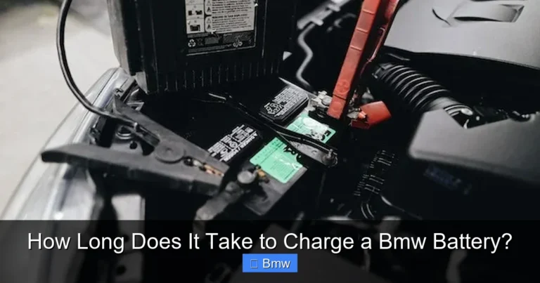How Long Does It Take to Charge a Bmw Battery?