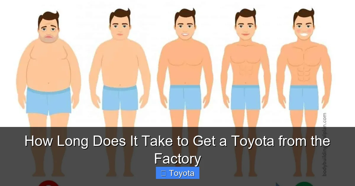How Long Does It Take to Get a Toyota from the Factory
